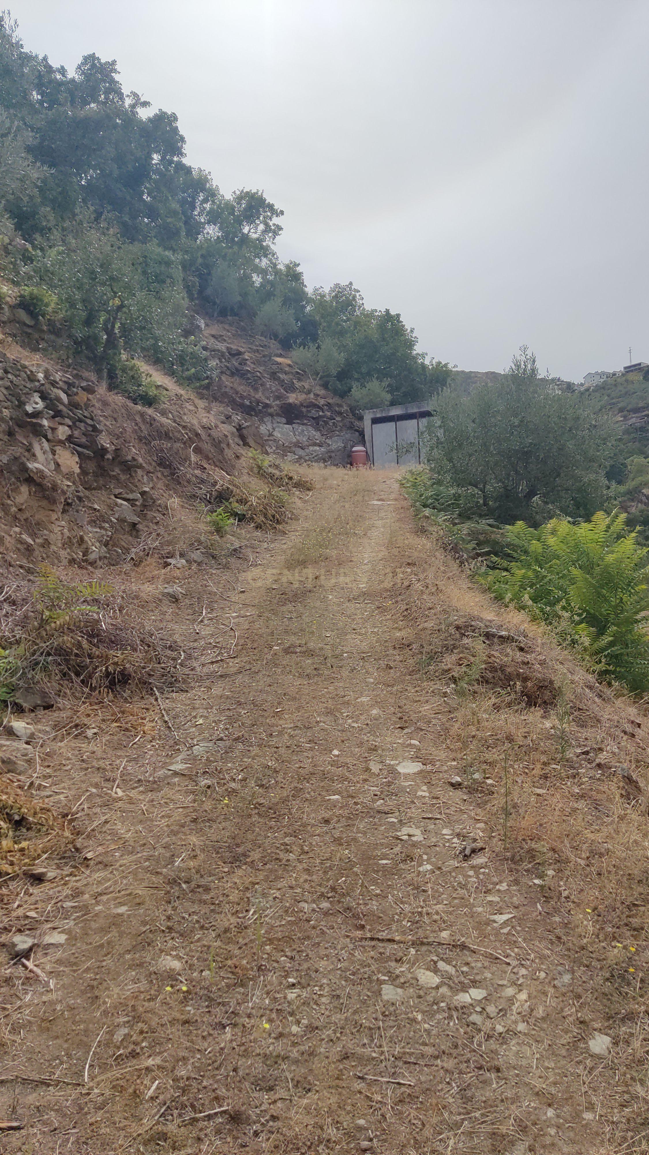 Fotografia 4 de Terreno em Tabuaço, Viseu - 18600m²