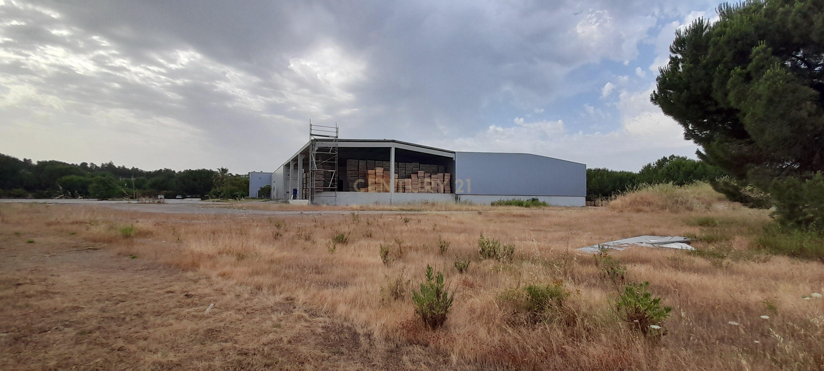 Armazém industrial em Pegões, Montijo - Image 2