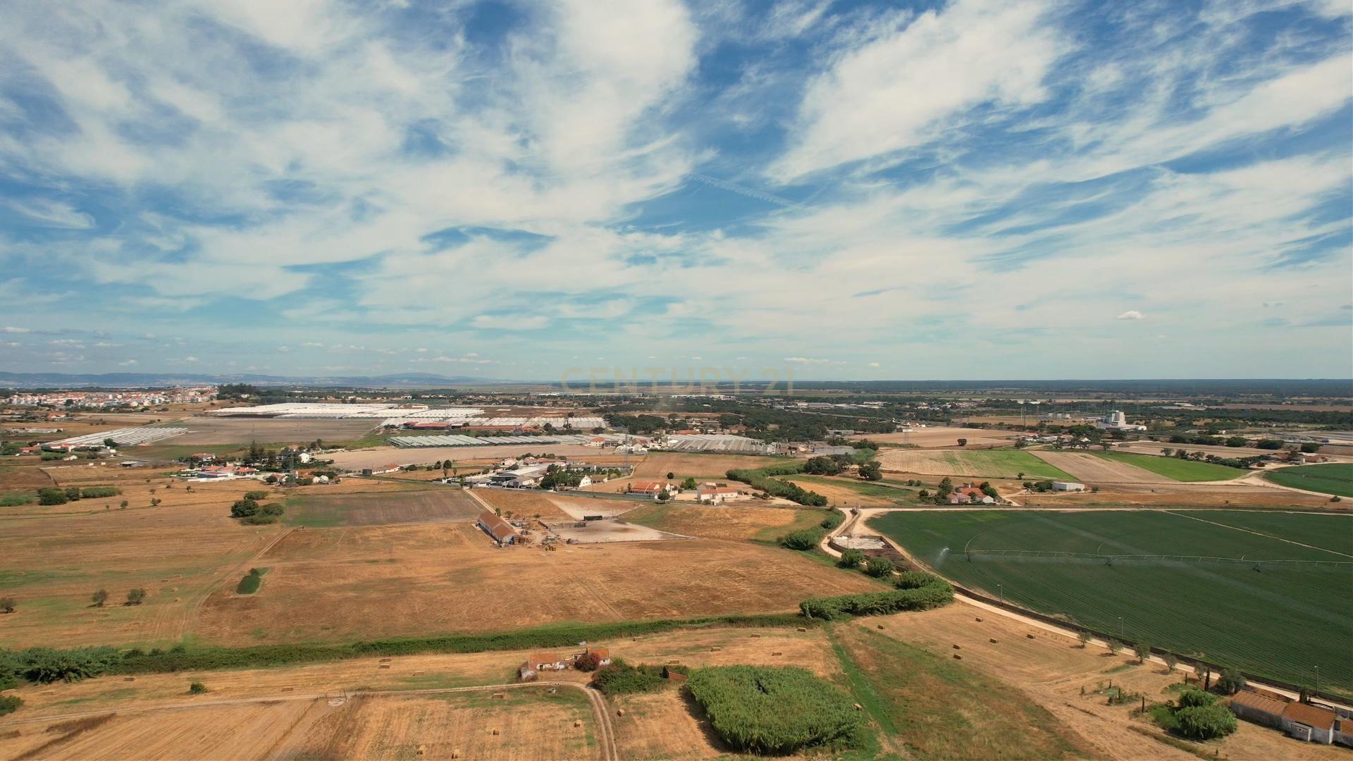 Fotografia 6 de Terreno com 8.700 m² no Rego da Amoreira — Alcochete