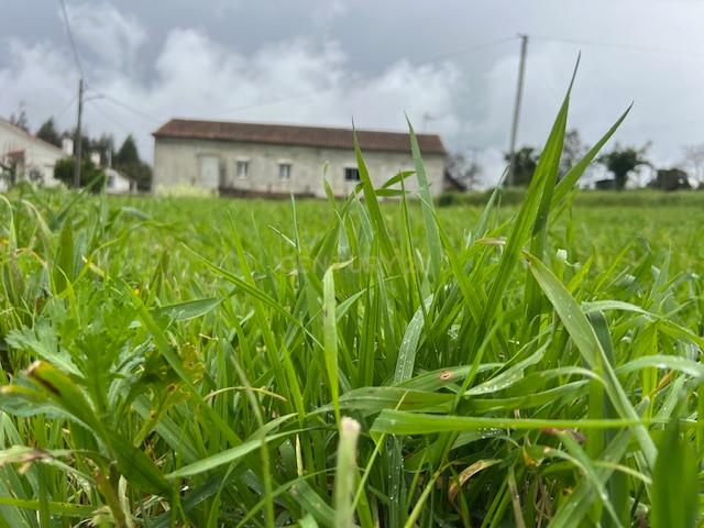 Moradia em Arega em Figueiró em Vinhos - Image 15