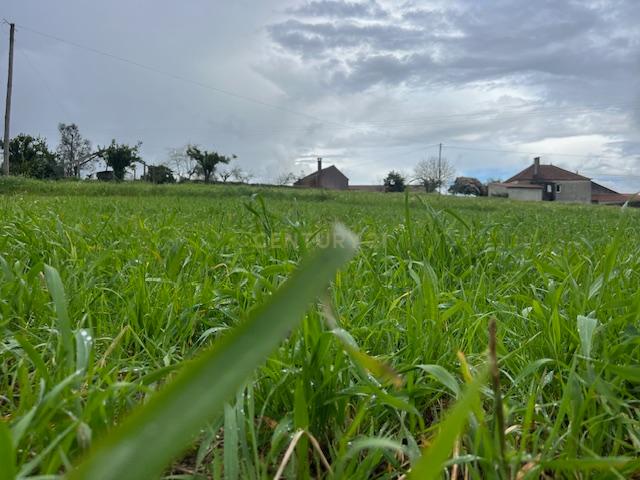 Moradia em Arega em Figueiró em Vinhos - Image 17