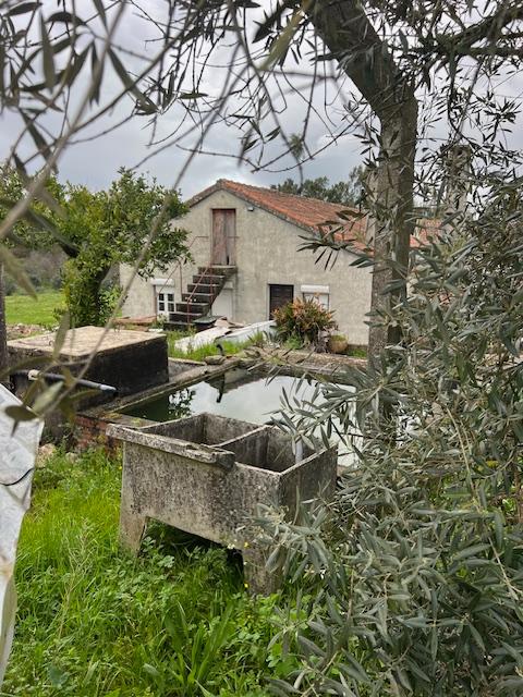 Moradia em Arega em Figueiró em Vinhos - Image 16