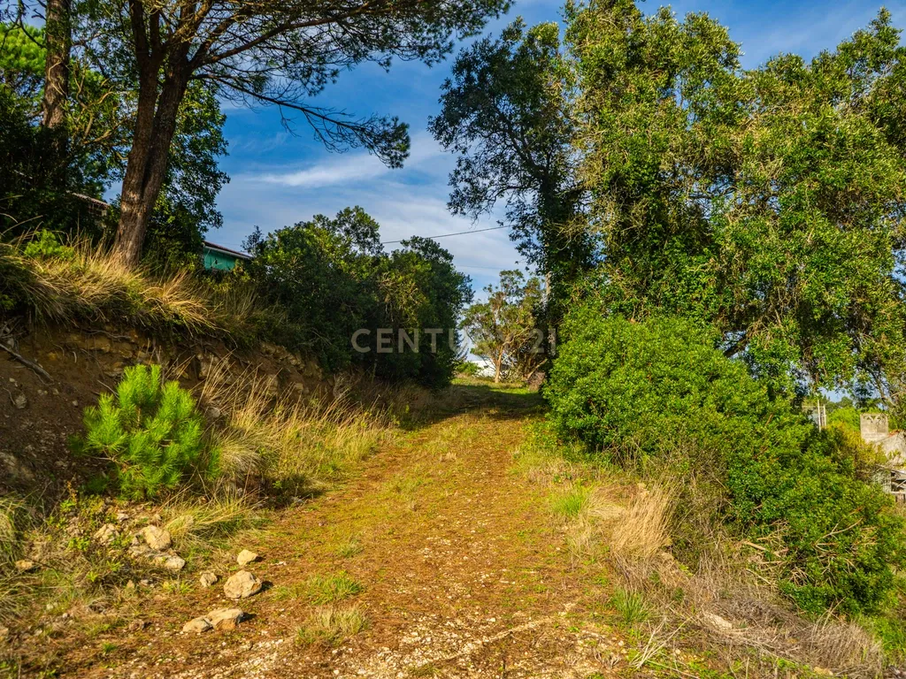 Terreno na Nazaré - Image 15