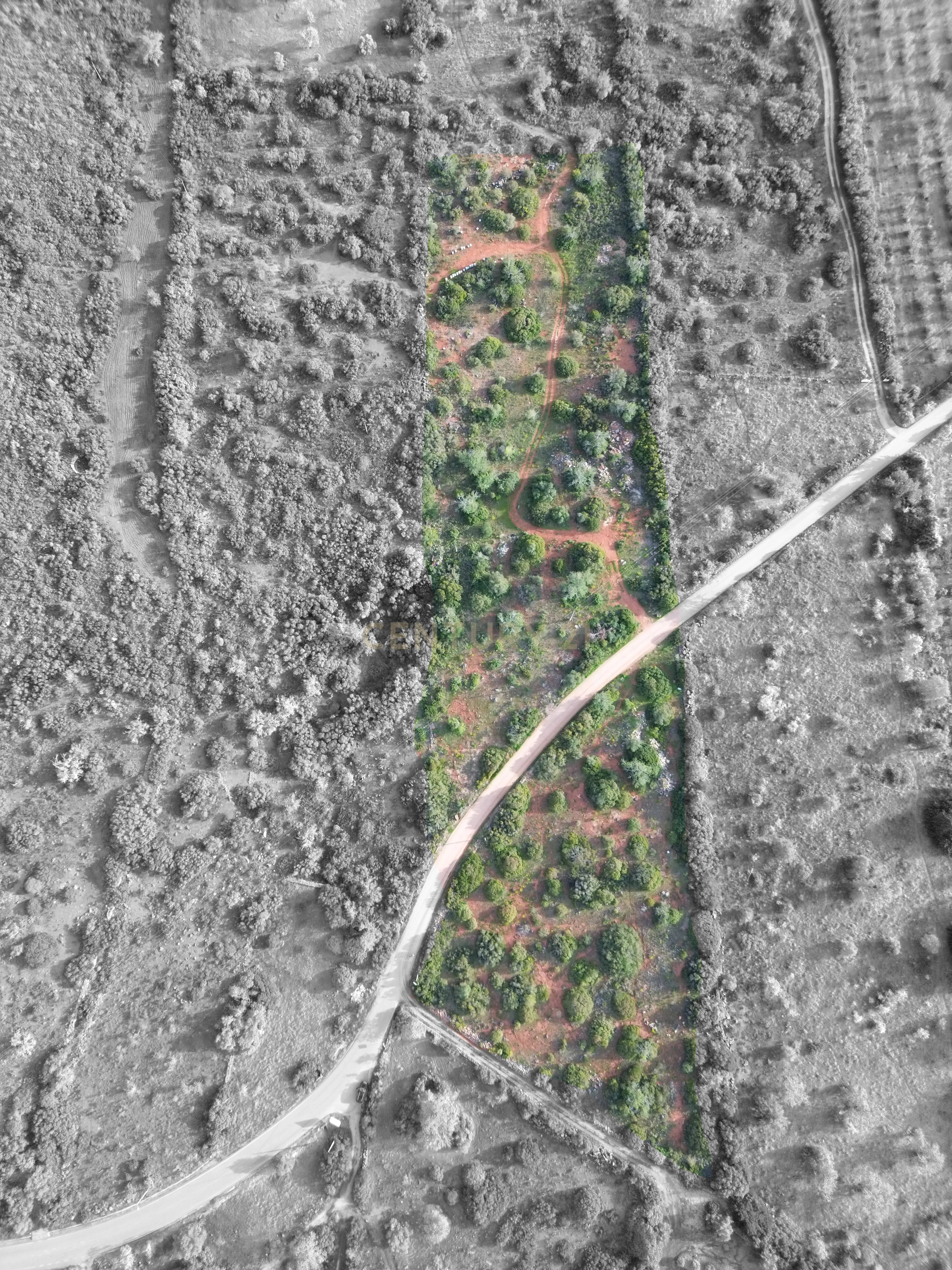 Fotografia 5 de Terreno Rústico | 14.360m² | Paderne | Acesso Alcatroado | Dividido em 2 Parcelas