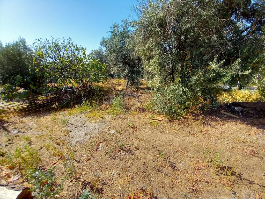 Terreno com 1100m2, Sobral do Campo - Image 4
