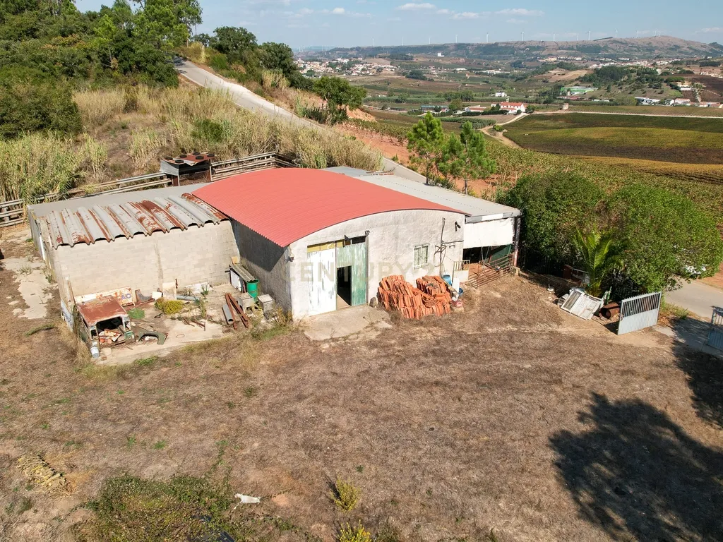 TERRENO à VENDA em ABOBOREIRA, Azueira - Image 21