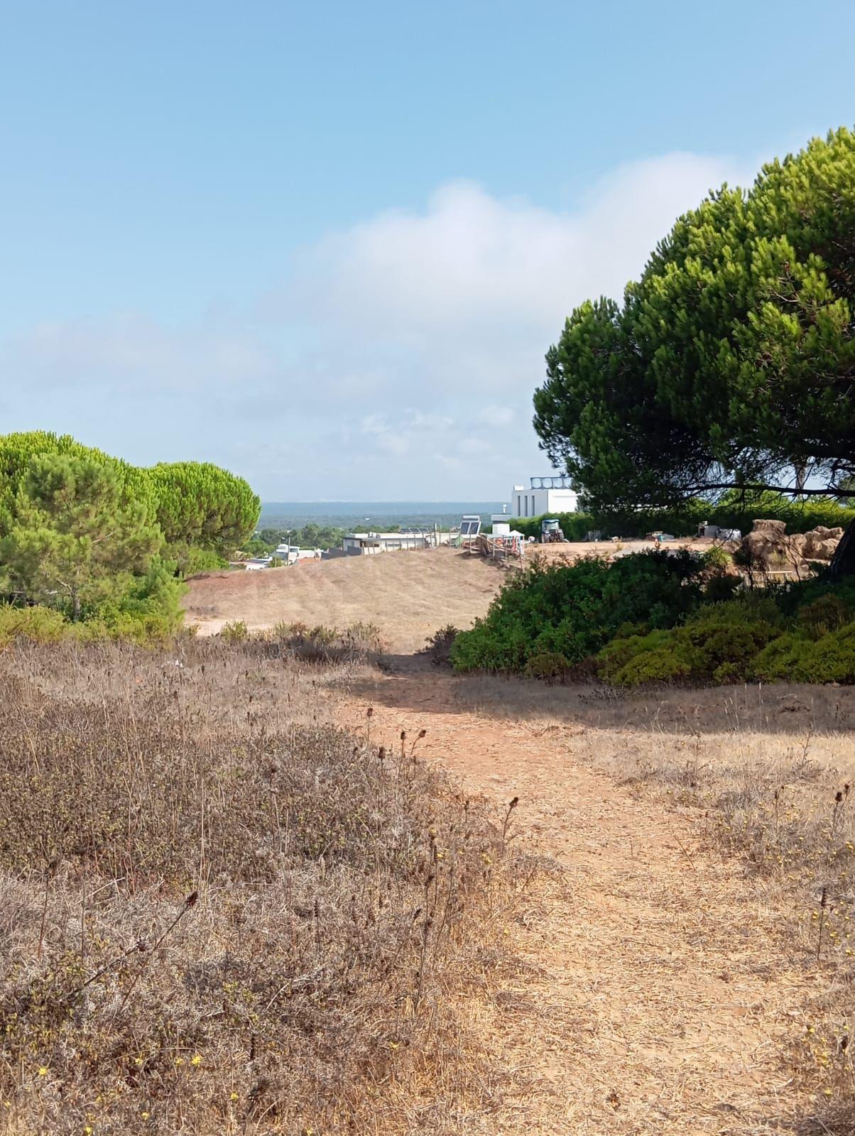 Fotografia 11 de Terreno com área de 10.000m2 com projeto aprovado perto da Aldeia do Meco