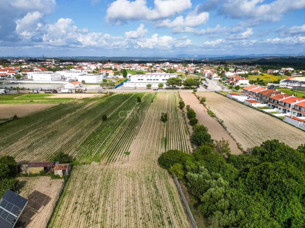 Terreno no centro do Paião, Figueira da foz - Image 9