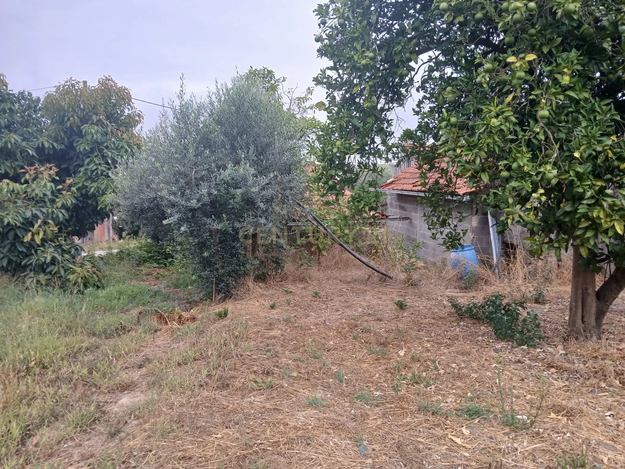 Moradia T2 à venda em Almagreira, Pombal — foto 33