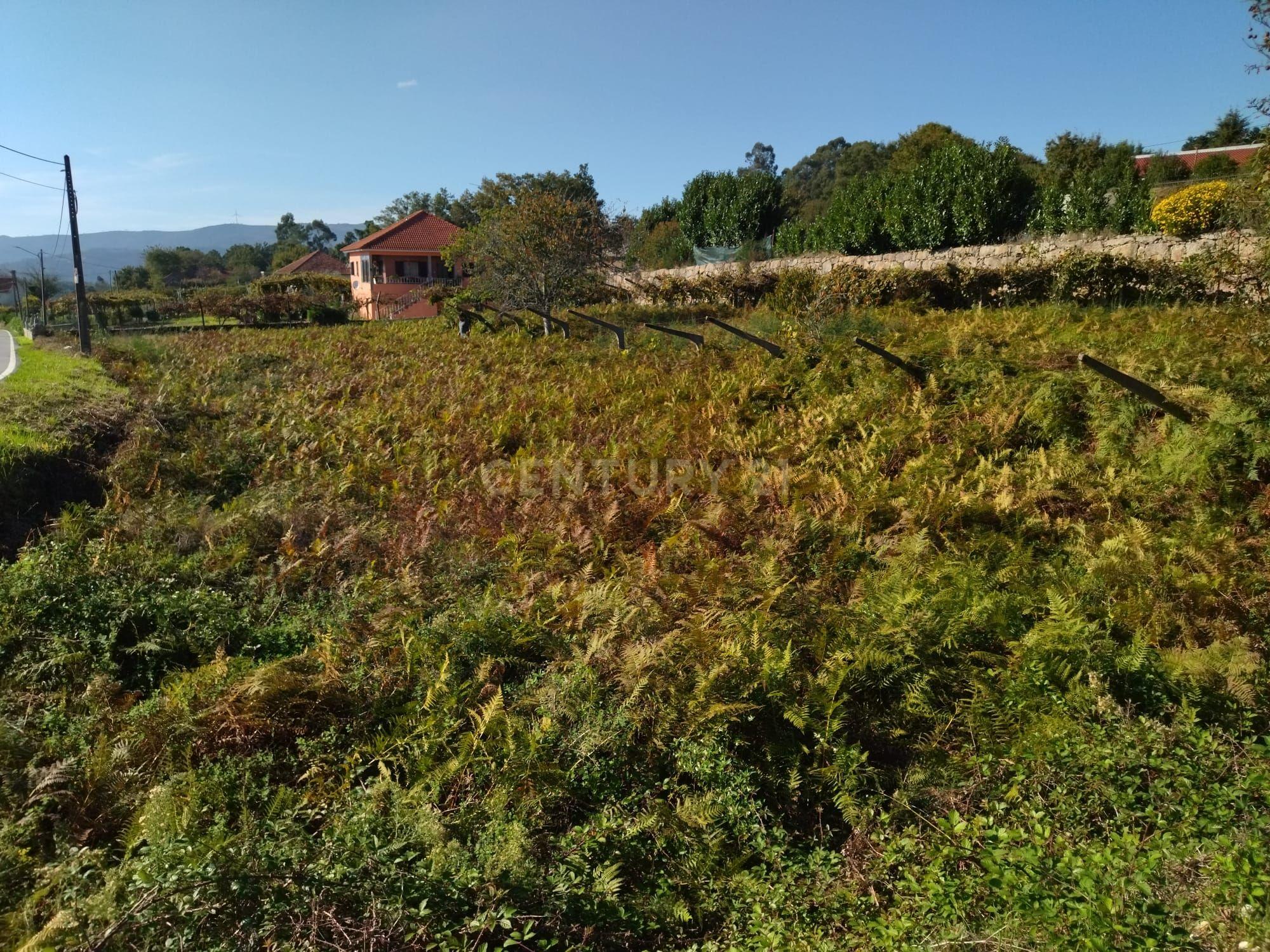 Terreno em Paredes de Coura - Image 6
