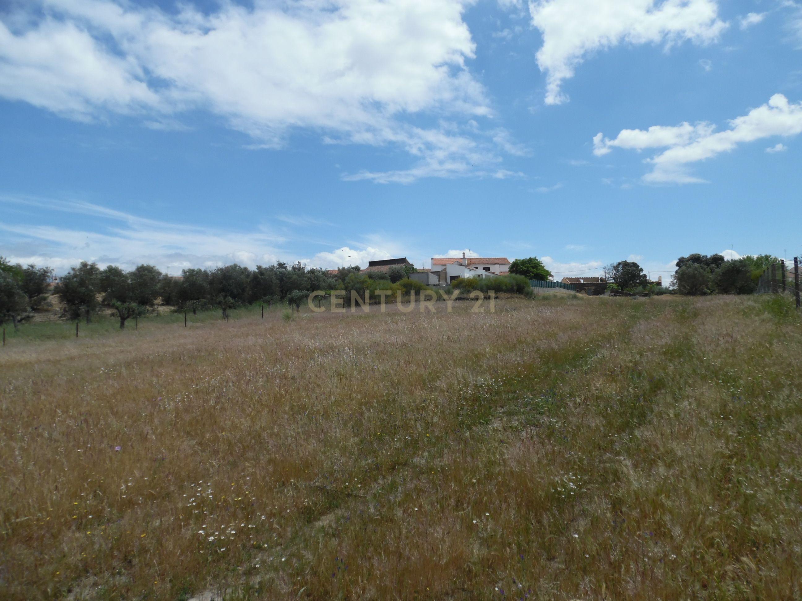 Moradia T3 à venda em Capelins (Santo António), Alandroal — foto 31