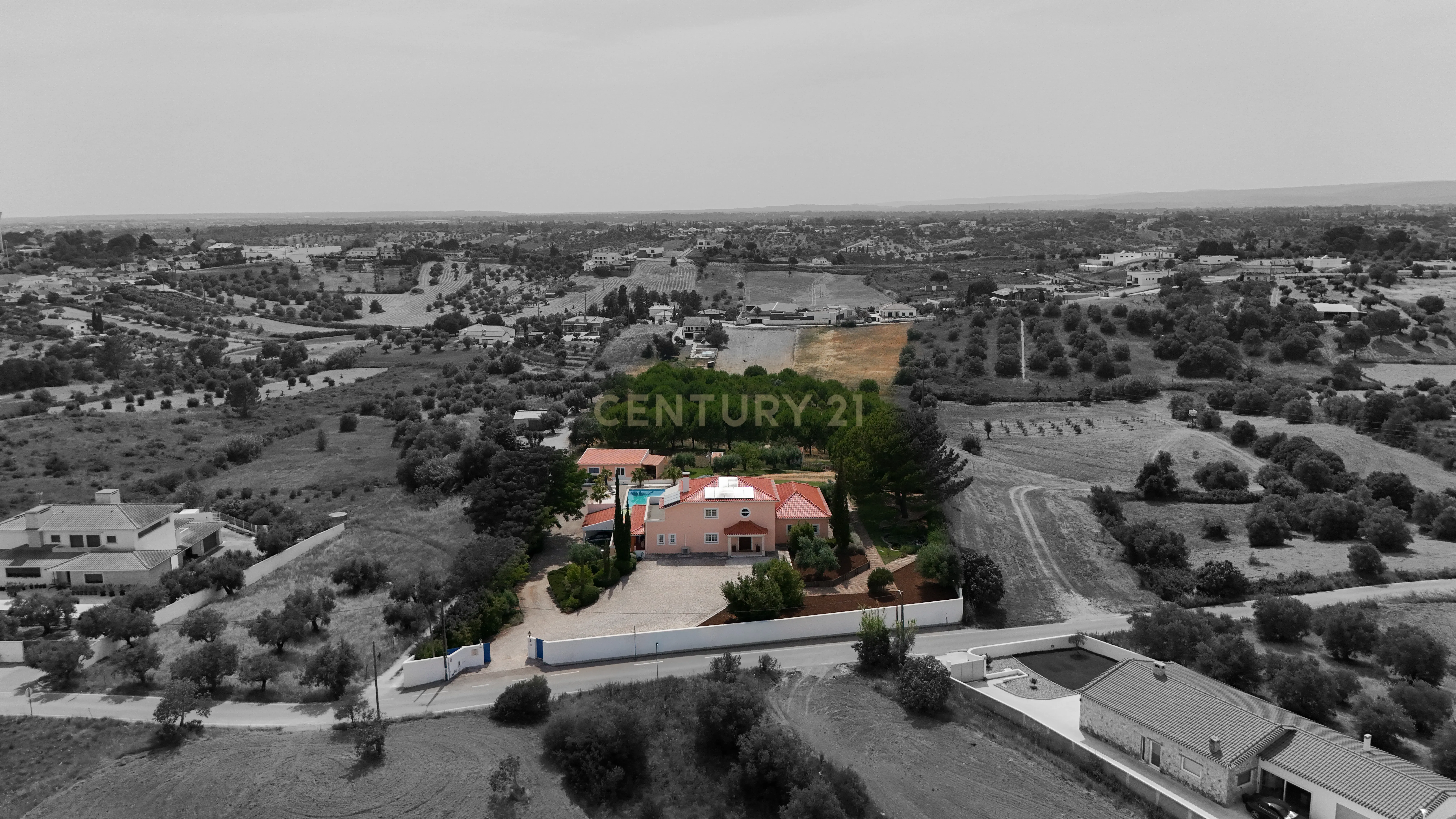 Fotografia 8 de Propriedade Única com Piscina, Lago e Produção de Azeite