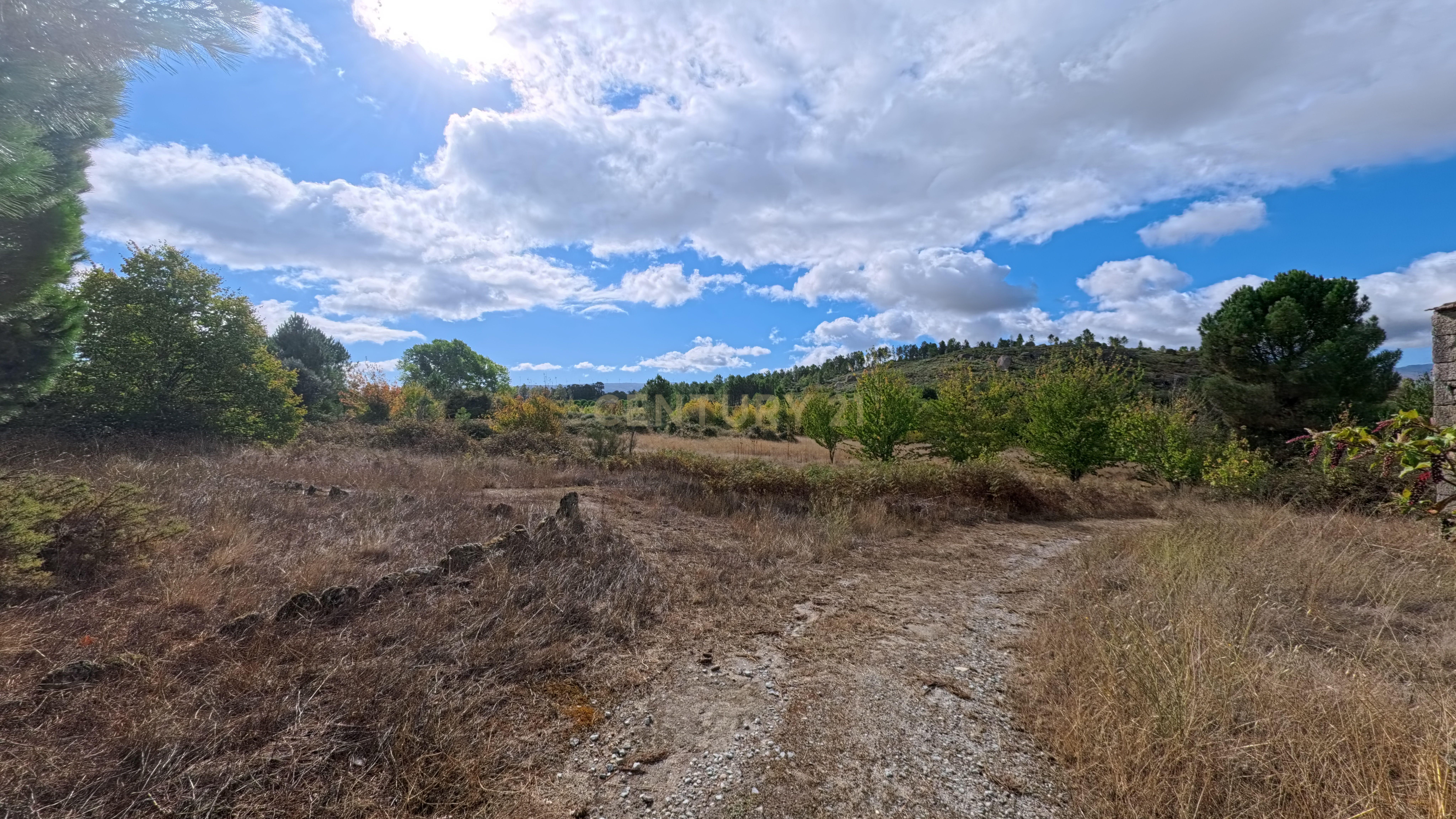 Fotografia 2 de Terreno com cerca de 18.000 m² em Figueiró da Granja - Fornos de Algodres