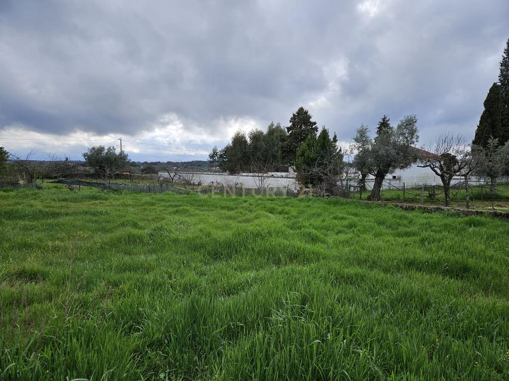 Quintinha na Lousa, Castelo Branco - Image 24