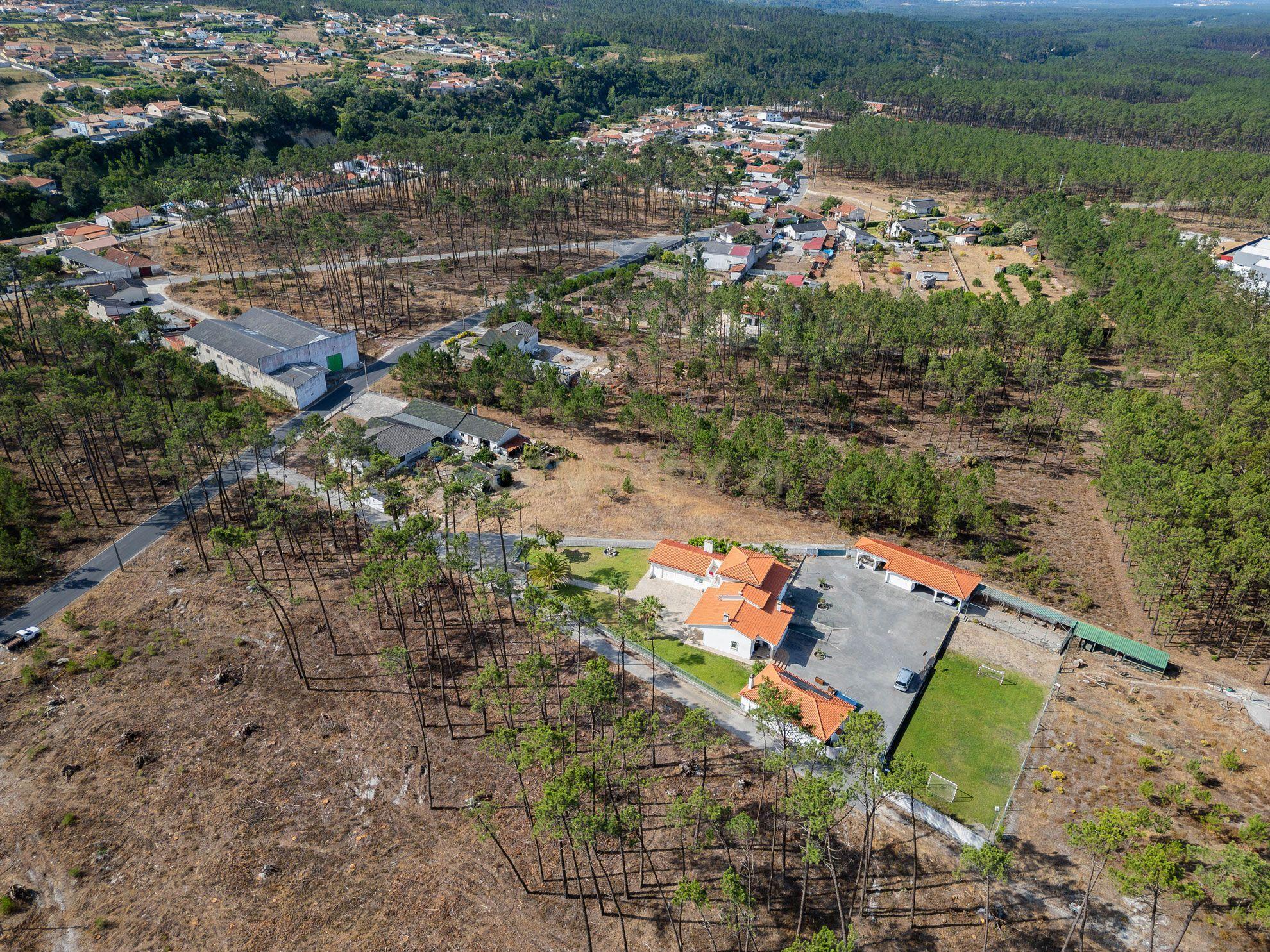 Fotografia 8 de Terreno inserido em malha urbana