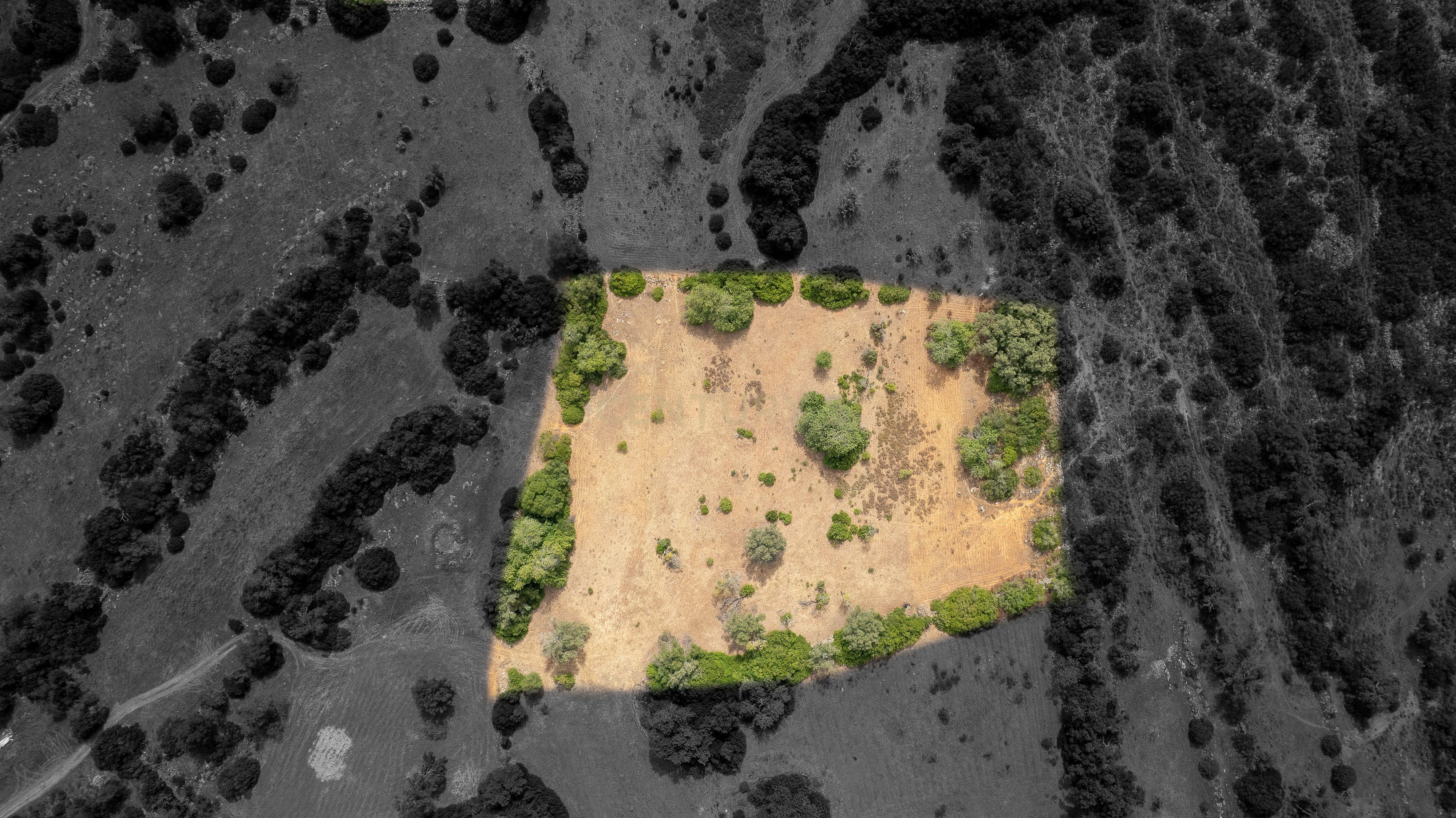 Fotografia 6 de Terreno Rústico de 7.580 m² entre Pechão e Estoi
