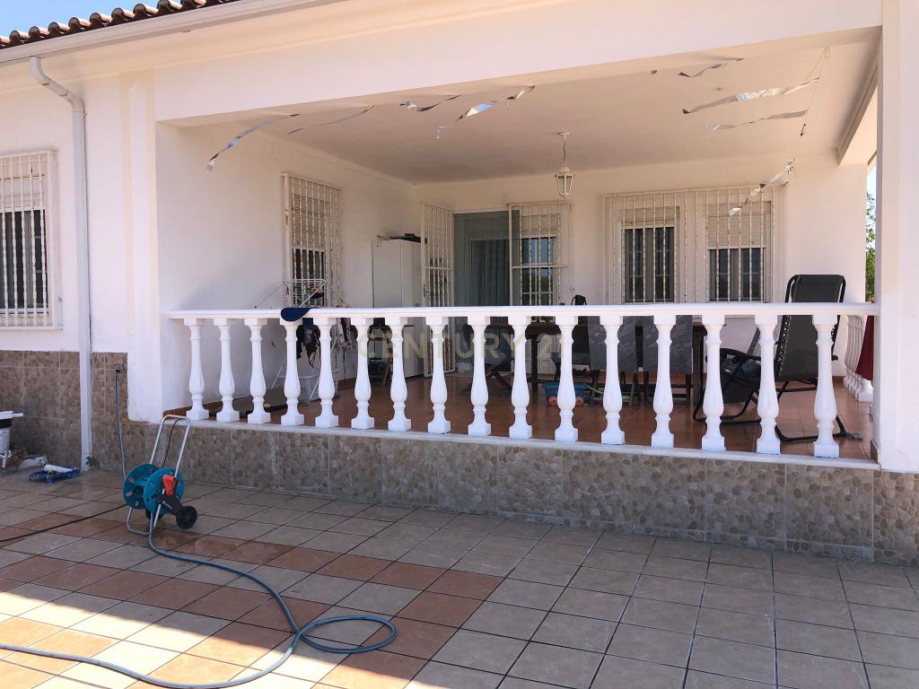 Espetacular Moradia com Piscina e Vinhedo em Campo Maior - Image 41