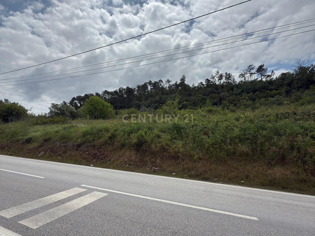 Terreno à venda em Alcobaça – Oportunidade única! - Image 5