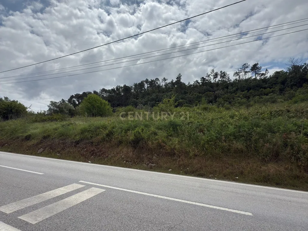 Terreno à venda em Alcobaça – Oportunidade única! - Image 5