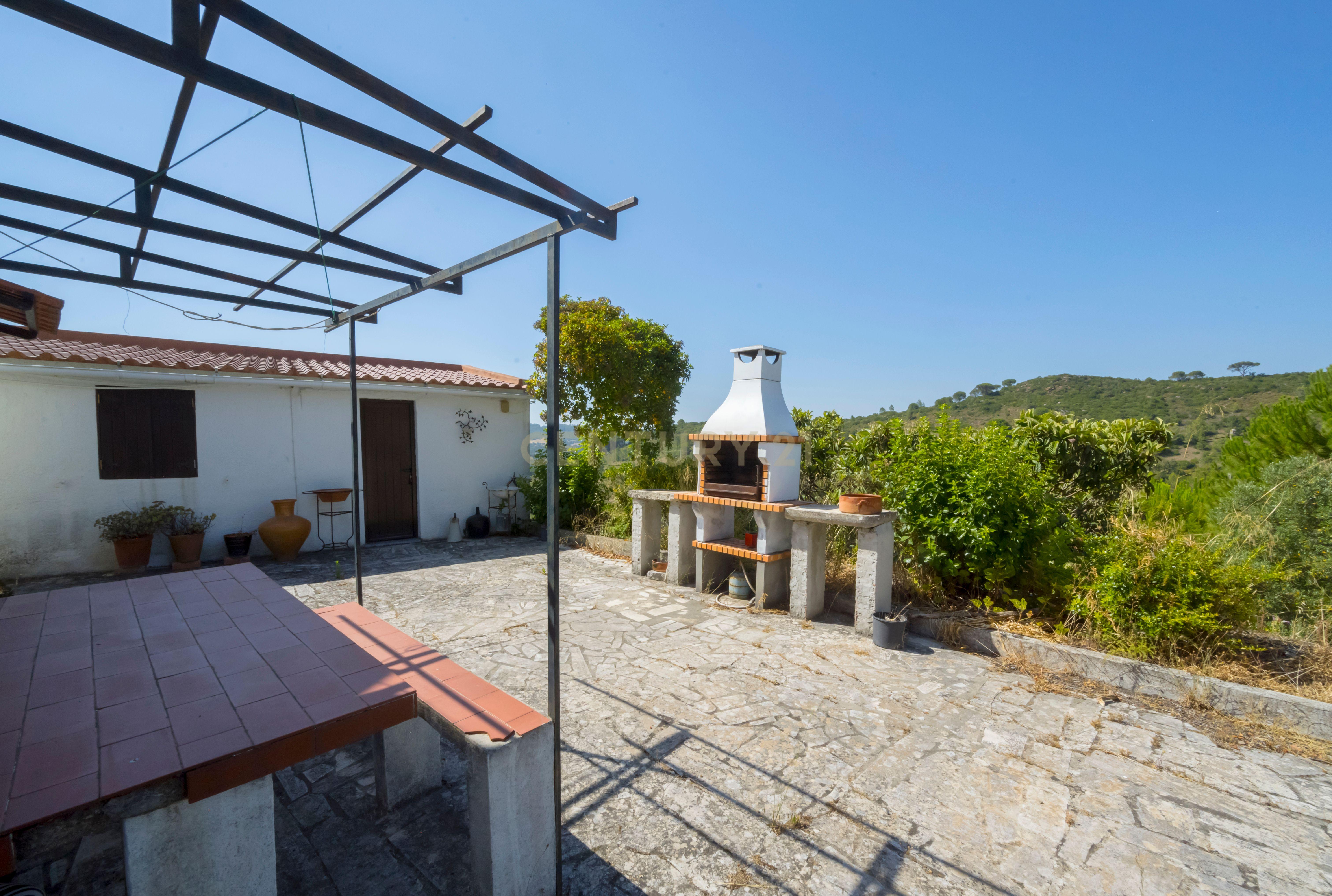 Fotografia 5 de Quinta de 3.500 m2 na Serra da Arrábida