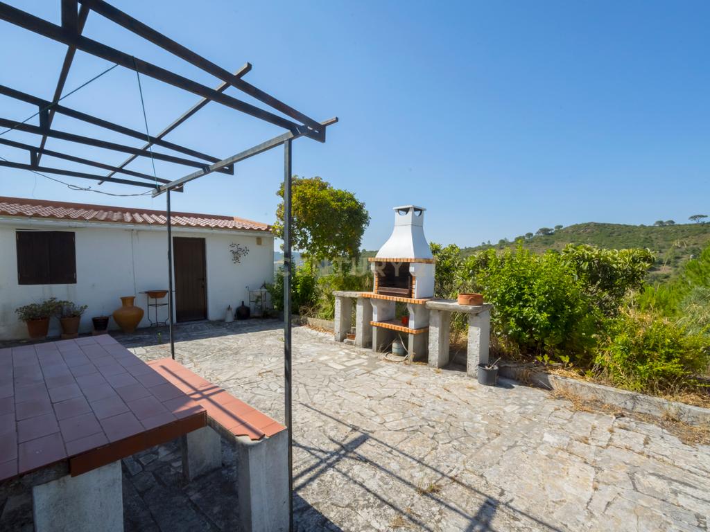 Quinta de 3.500 m2 na Serra da Arrábida - Image 5
