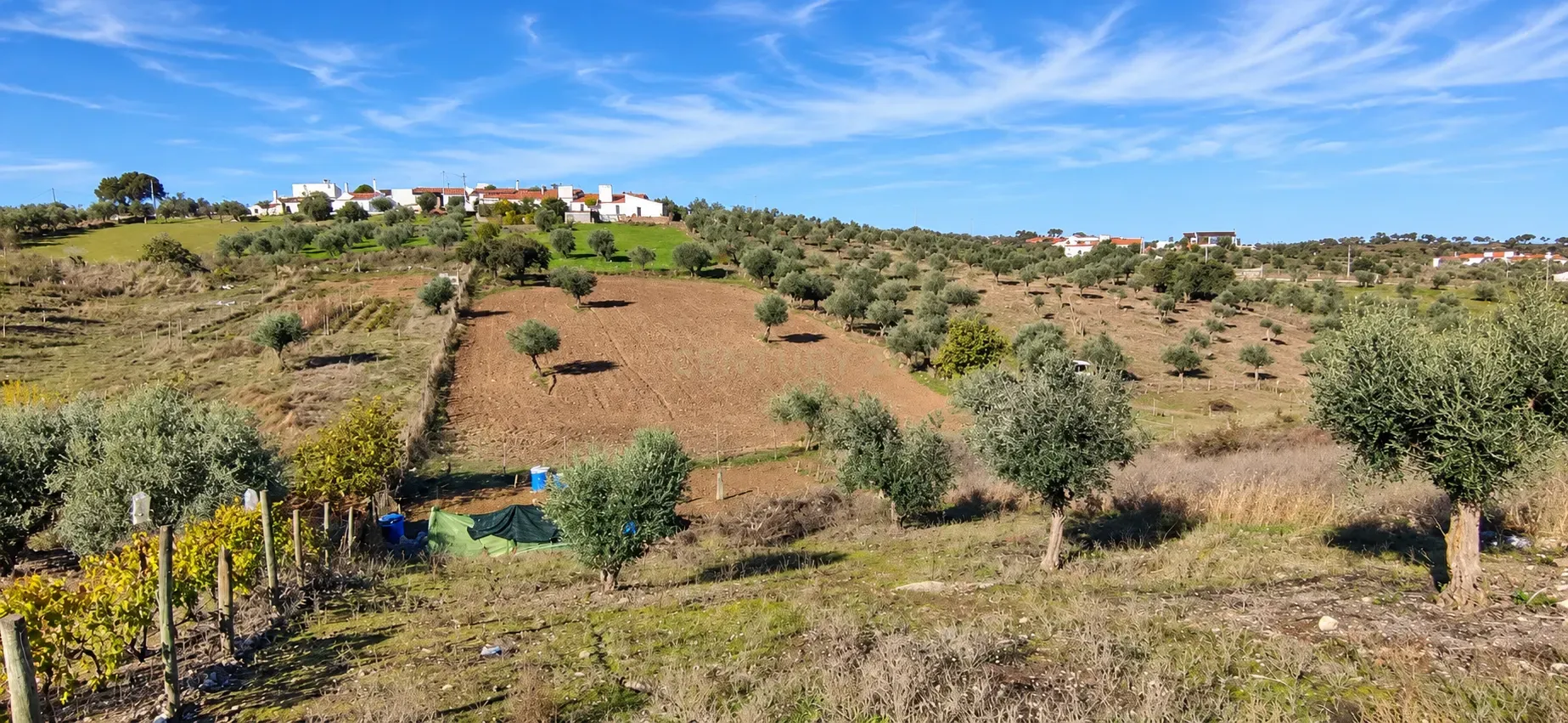 Moradia T3 à venda em Santiago Maior, Alandroal — foto 14
