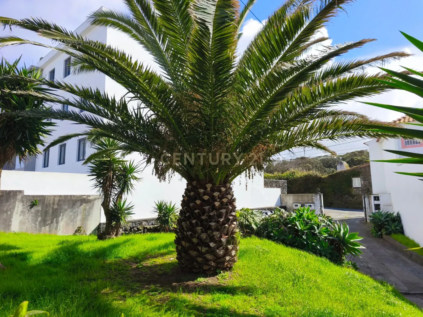 Apartamento T3 à venda em Rabo de Peixe, Ribeira Grande — foto 33