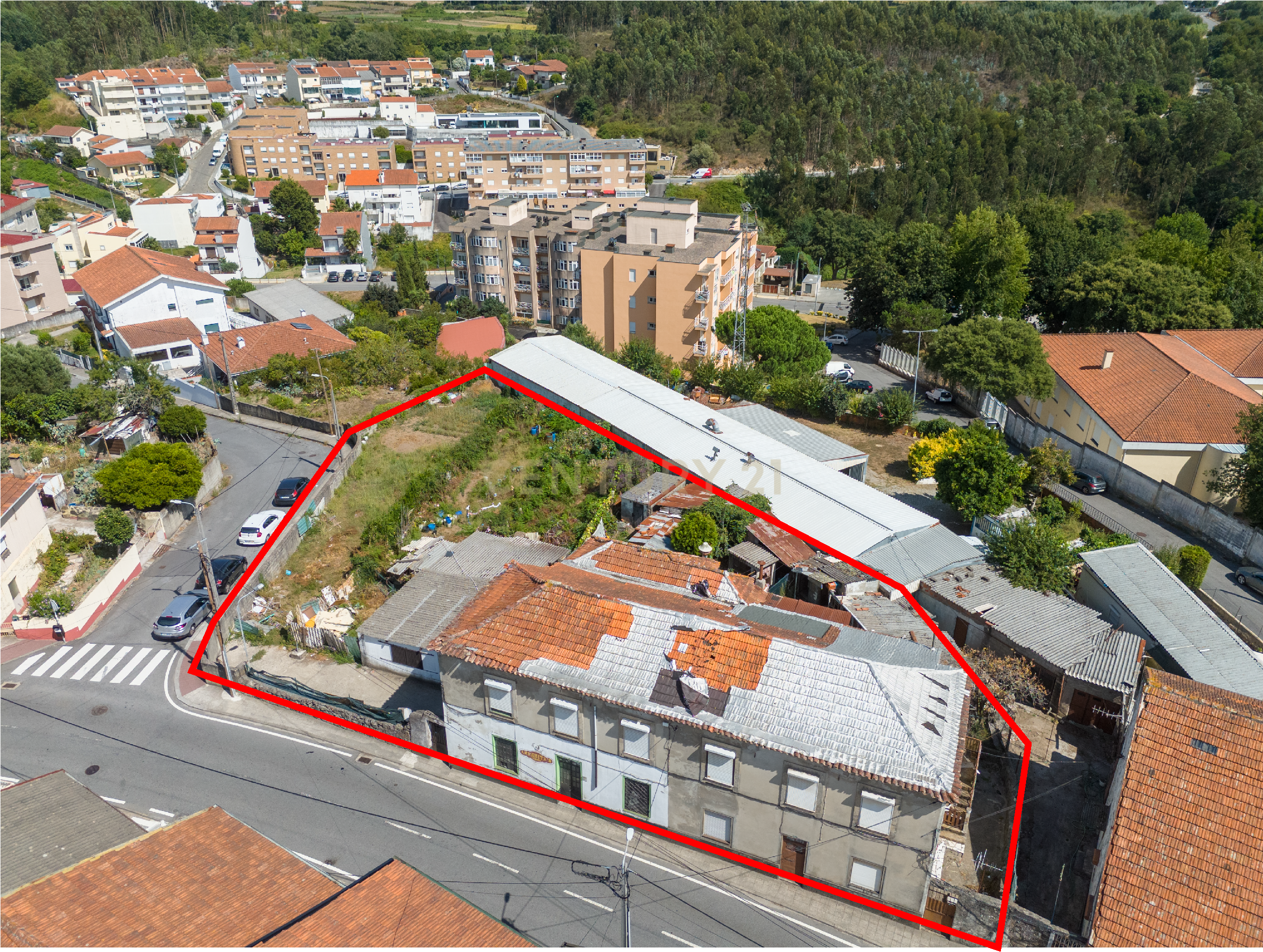Oportunidade de investimento