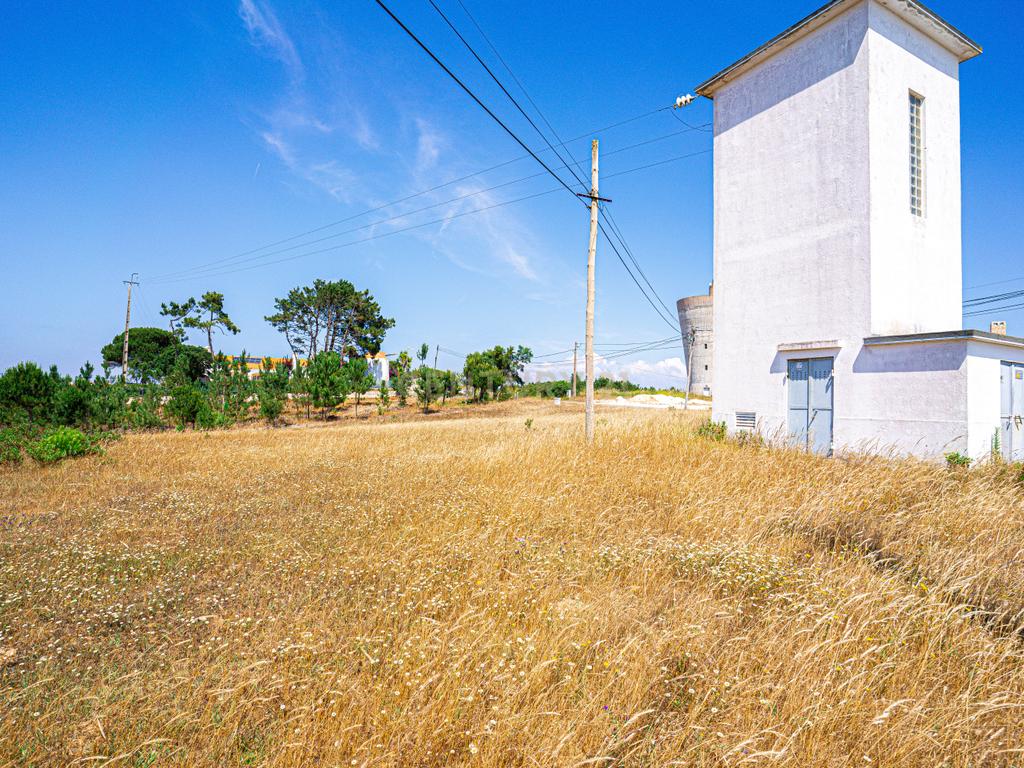 Terreno 4 910m2 | Nadadouro | Caldas da Rainha - Image 6