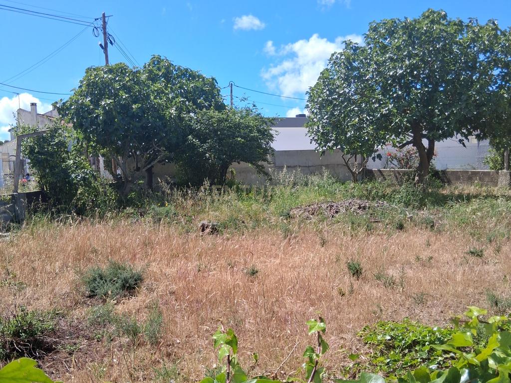 Terreno urbano em gaveto na rua Fernão Magalhães, Pinhal do General. - Image 2