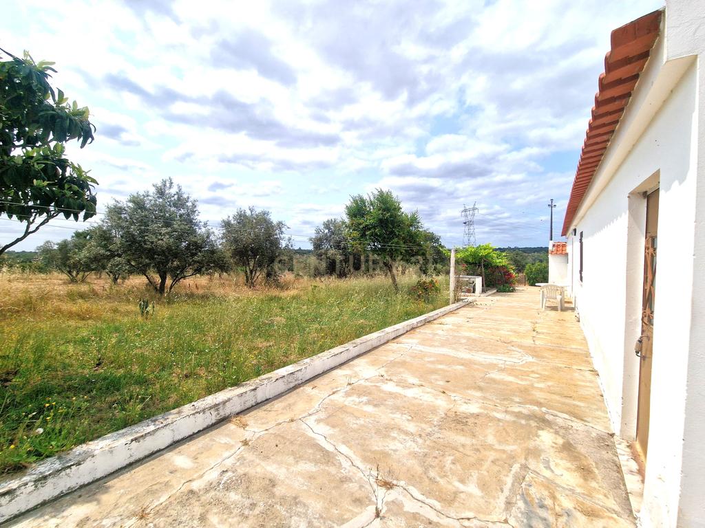Monte/Terreno em Santiago do Cacém, com Vista Campestre e Árvores Frutíferas - Image 29