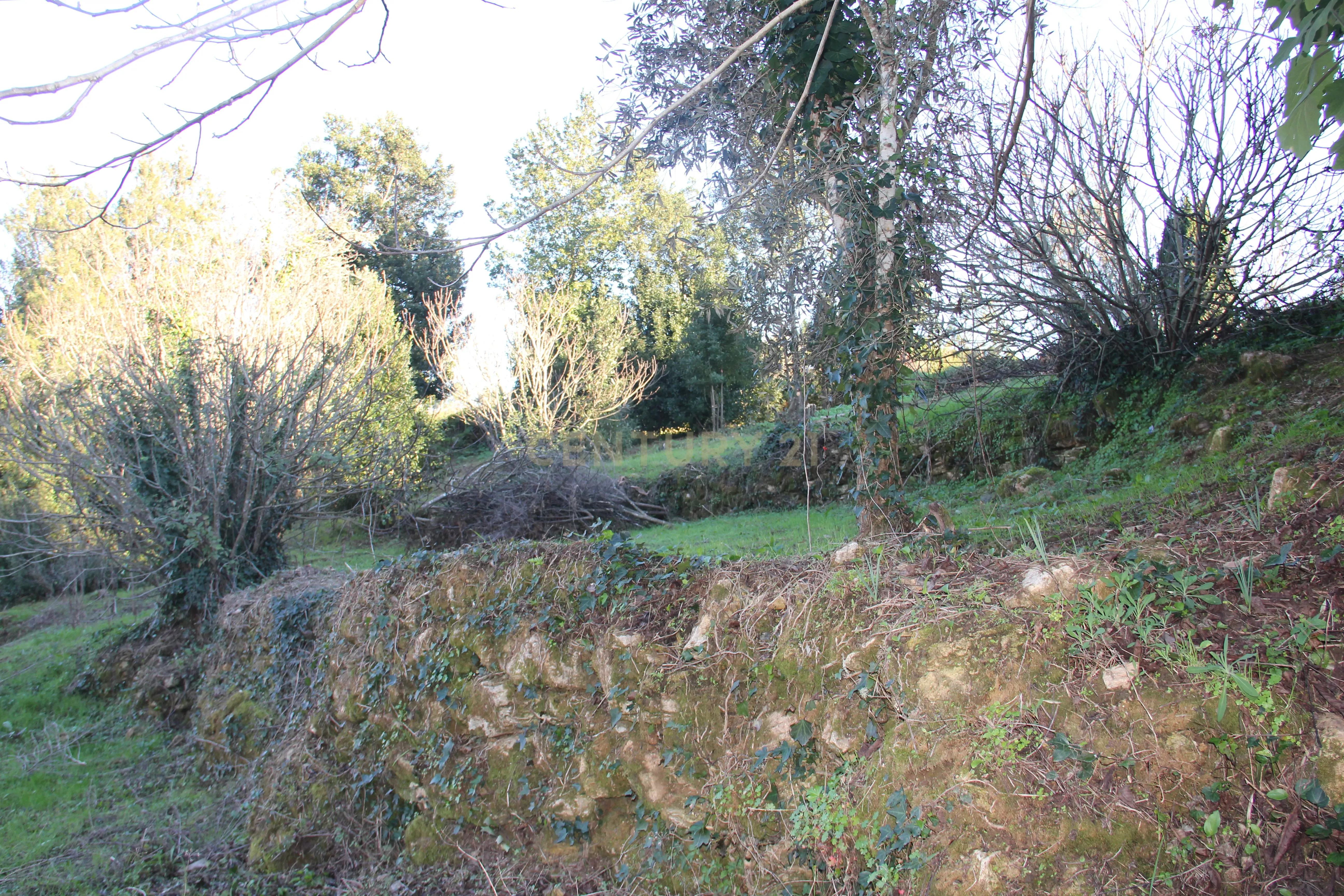 Fantástico terreno para moradia - Image 23