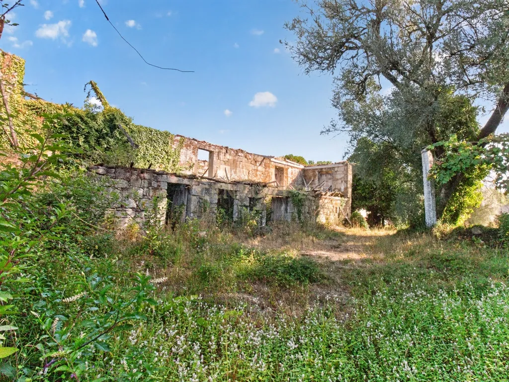Quinta de Verim – 22.000 m² de história, natureza e potencial - Image 37