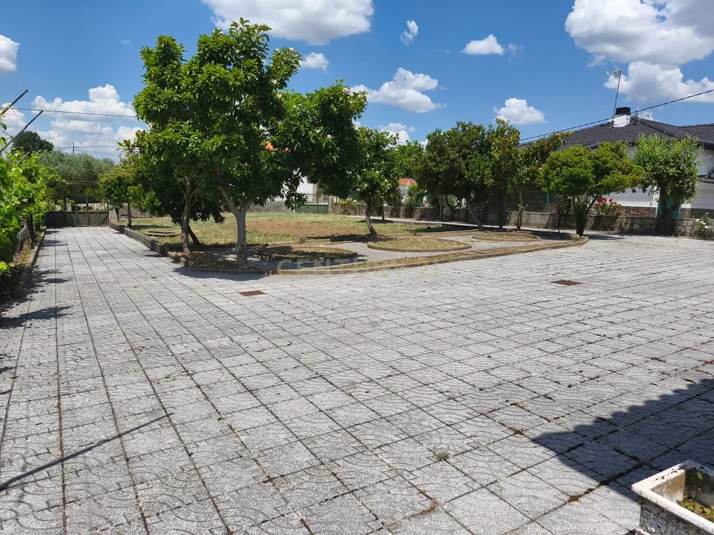Casa Moderna em Campo de Víboras (Vimioso) com Jardim e Garagem - Image 8