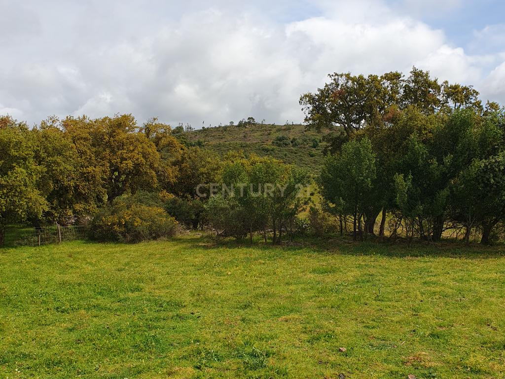 Terreno Urbano na Serra D`Ossa Redondo - Image 4