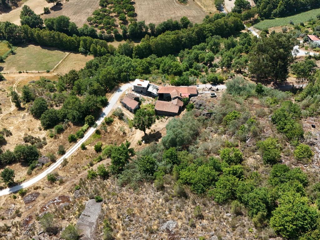Quinta com Casa para Recuperação em Ferreira de Aves, Viseu - Image 5