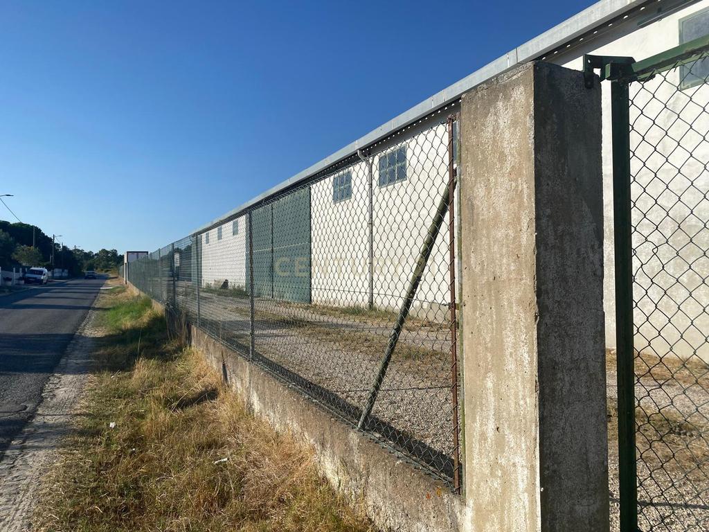 Armazém Agro-Industrial mais T1 e Terreno – Vale da Pedra, Cartaxo - Image 14