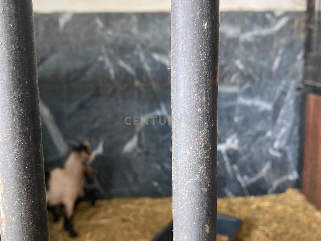 Herdade da Pedra Longa — Um Património Único no Coração do Alentejo - Image 16