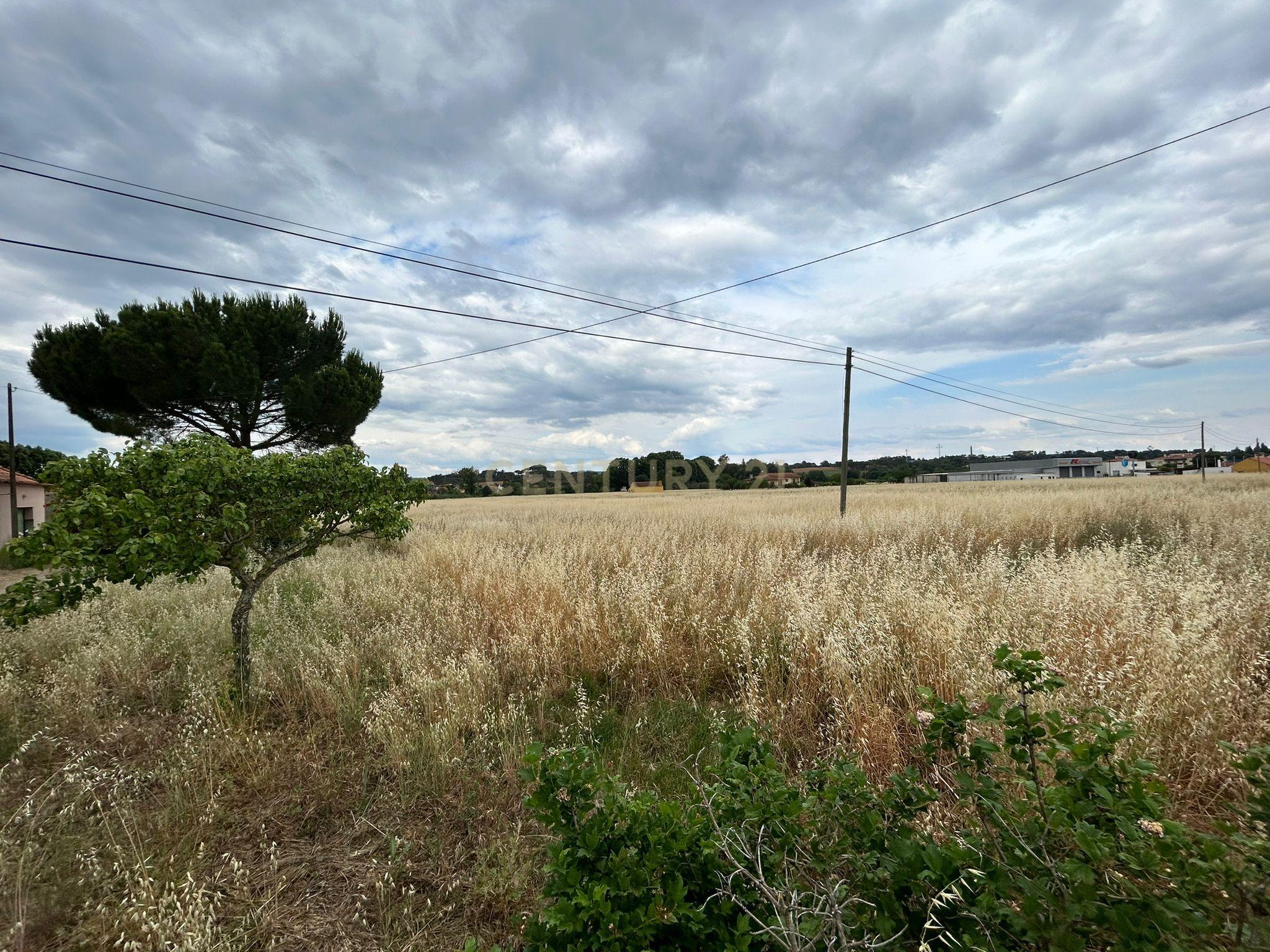 Quinta T3 em São Lourenço - Tomar - Image 19