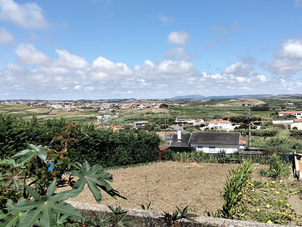Terreno Urbano para Construção com 190 m² e Projeto Aprovado para Moradia T2 Térrea – São Pedro da Cadeira - Image 2