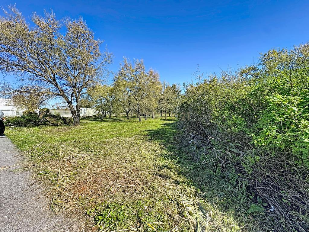 O lugar ideal para construir em plena natureza – Alcobaça - Image 17