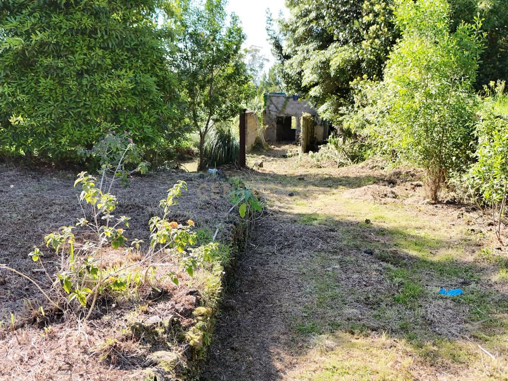 Terreno com PIP Aprovado para Moradia T3 | Cabouco – Lagoa - Image 9