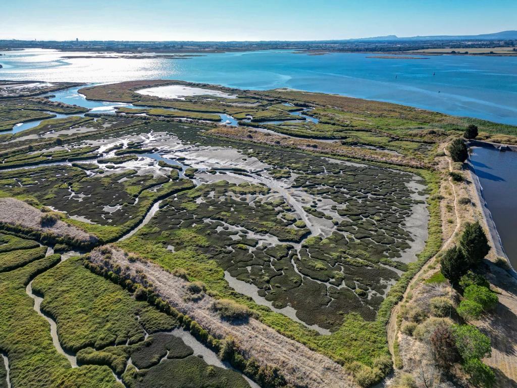 Terreno 20,18ha, Montijo - Seixalinho, para actividades de piscicultura e agricultura - Image 1
