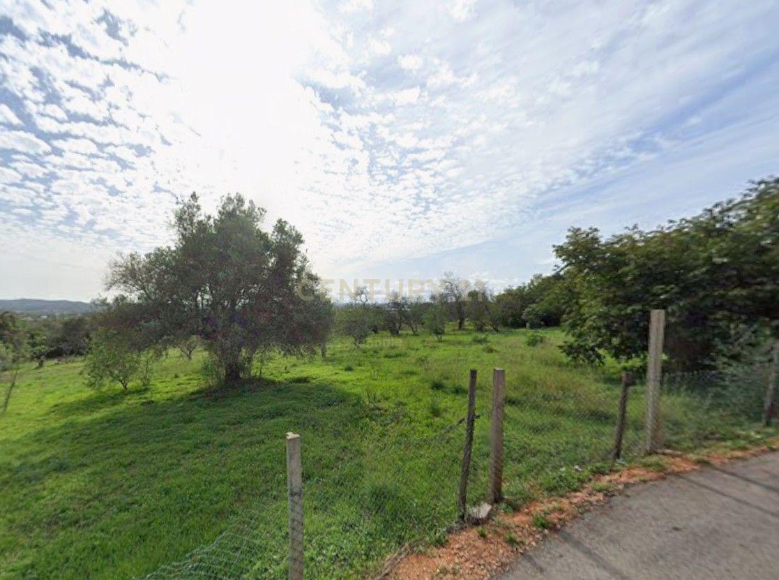 Fotografia 10 de Exclusivo Terreno com 6.320m² em Silves – Natureza, Privacidade e Potencial no Coração do Algarve