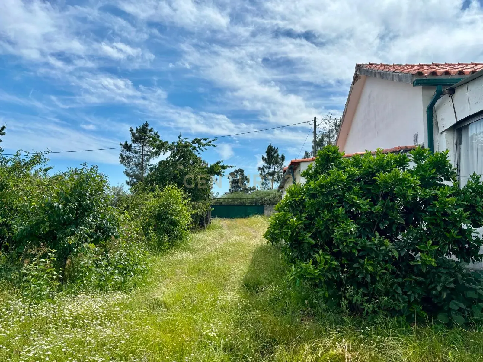 Fotografia 10 de Terreno na Quinta das Lameiras, com furo e vedado