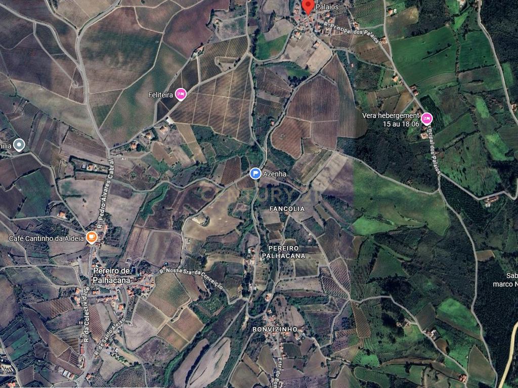 Terreno Misto - Alenquer - Image 8