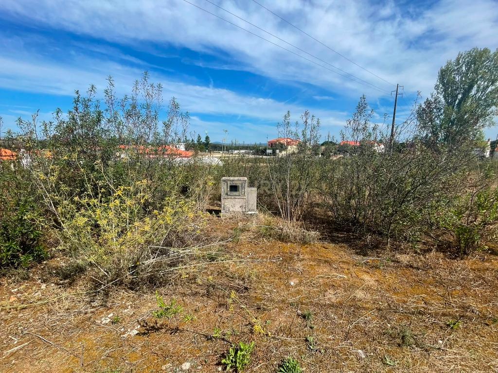 Terreno para construção com 805 m² | Linhaceira – Tomar - Image 7
