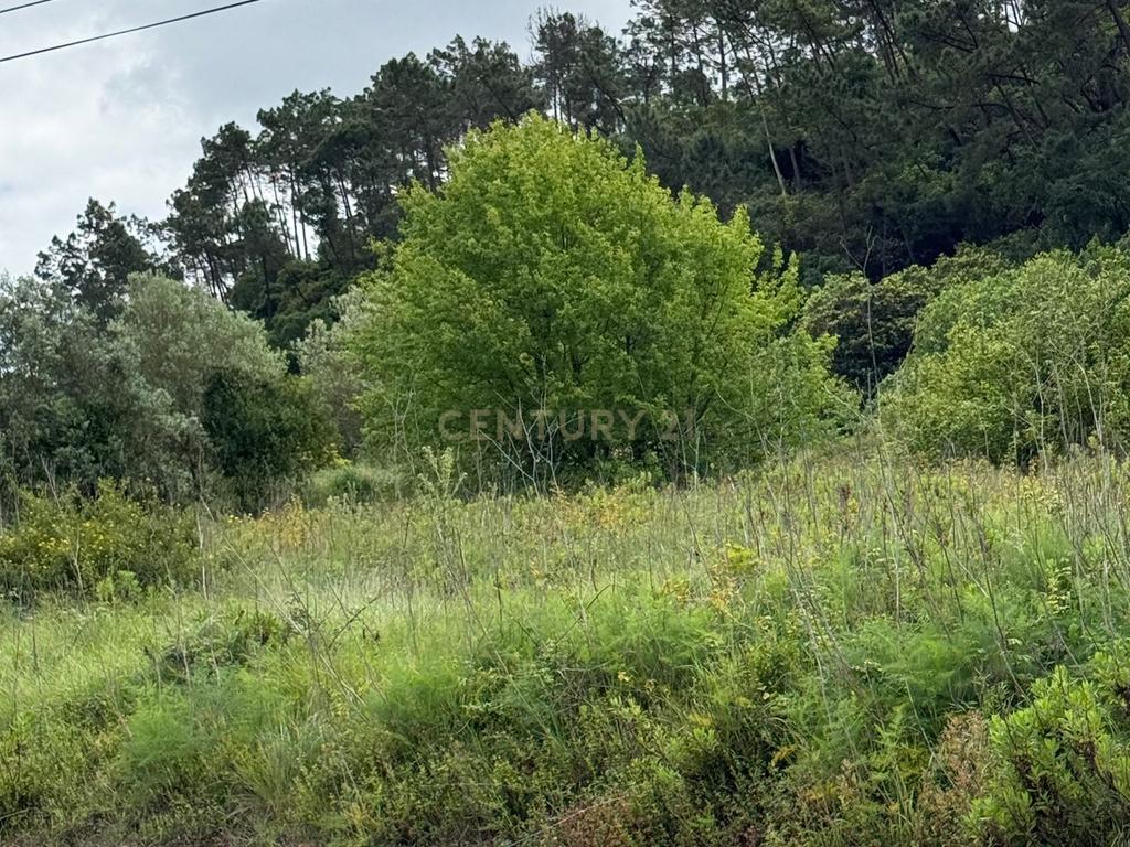 Terreno à venda em Alcobaça – Oportunidade única! - Image 9