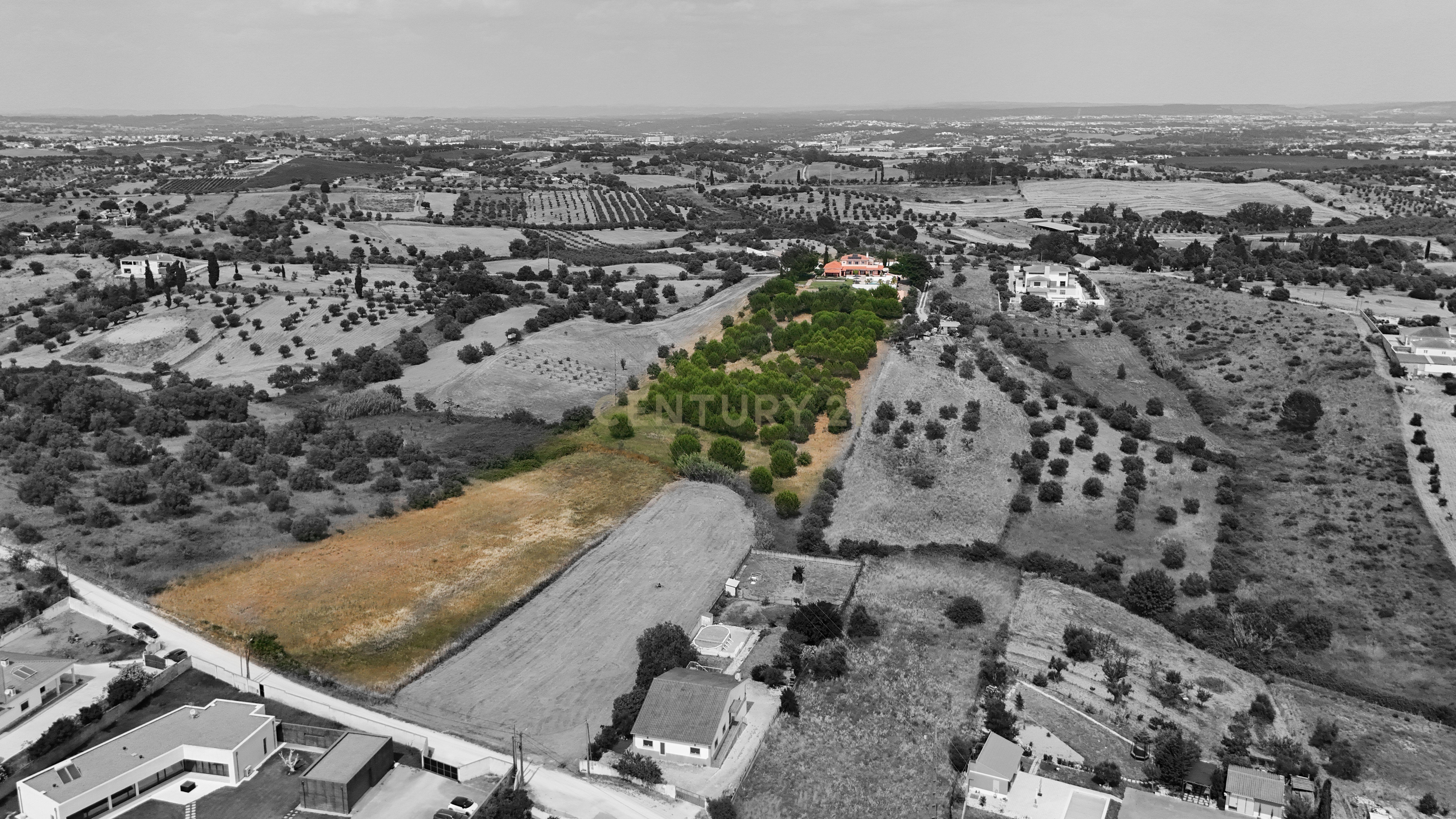 Fotografia 9 de Propriedade Única com Piscina, Lago e Produção de Azeite