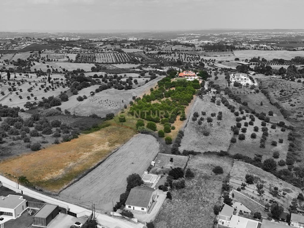 Propriedade Única com Piscina, Lago e Produção de Azeite - Image 9